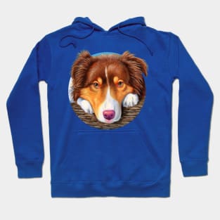 Red Tricolor Australian Shepherd Dog Hoodie